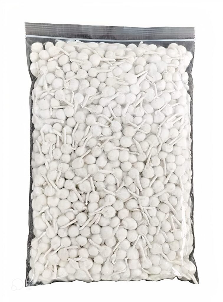White Small Diya Batti
